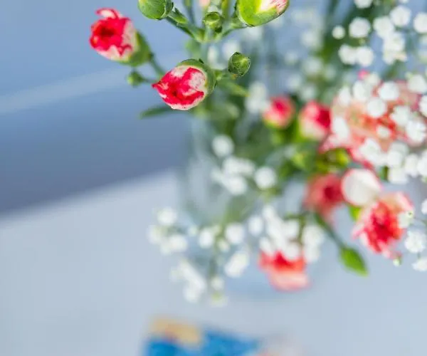 Casa Ela 3* Σορέντο