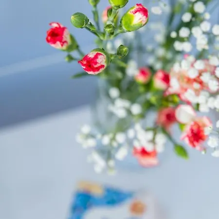 Casa Ela 4* 소렌토